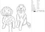 digitize custom outline embroidery from photo or car image